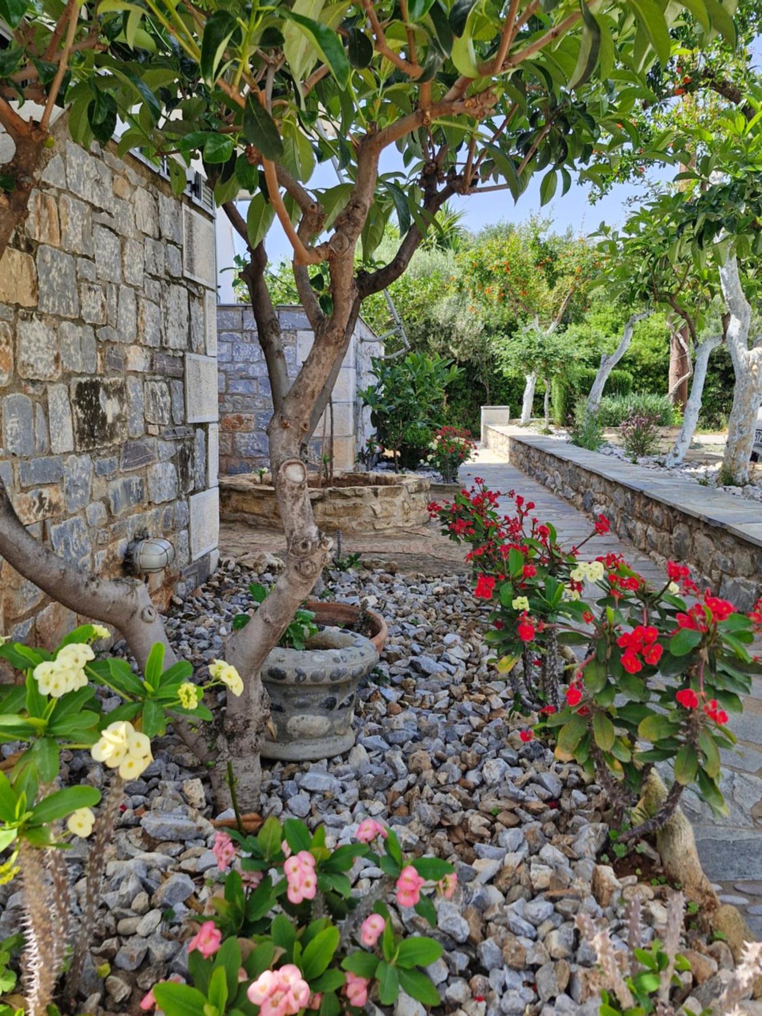 Anna Maria Studios Agios Nikolaos  Extérieur photo