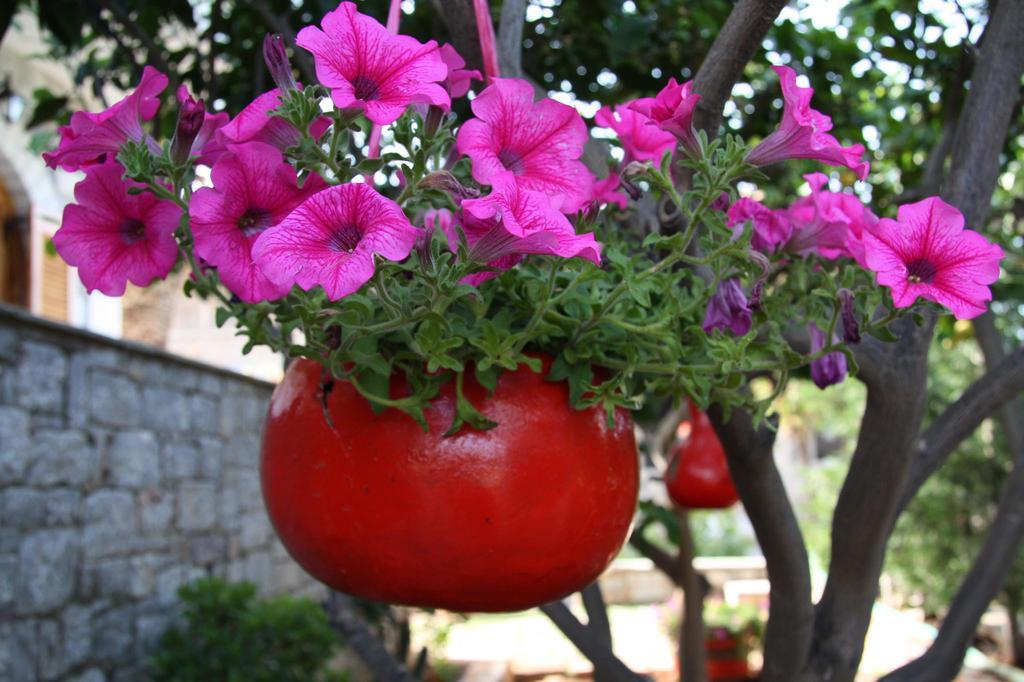 Anna Maria Studios Agios Nikolaos  Extérieur photo